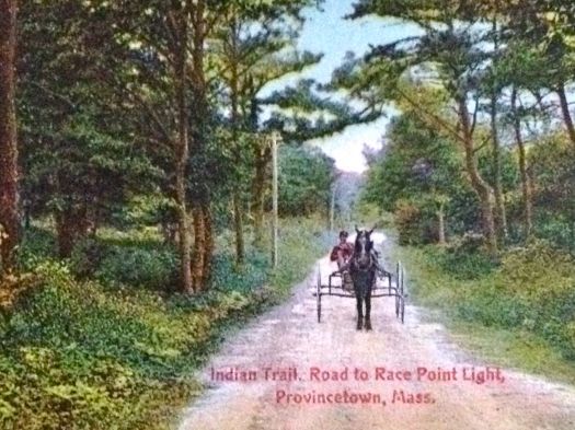 The Indian trail road to Race Point Light