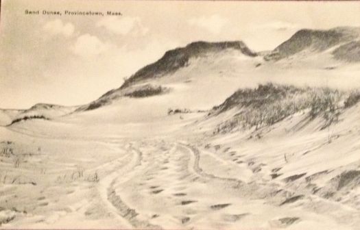 Provinetown Sand Dunes 100 years ago